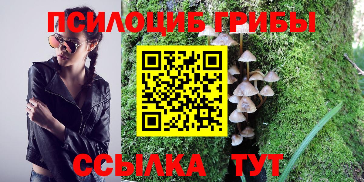 Псилоцибиновые грибы прущие грибы  Вход с VPN  Новотроицк  Псилоцибиновые грибы Psilocybine cubensis 